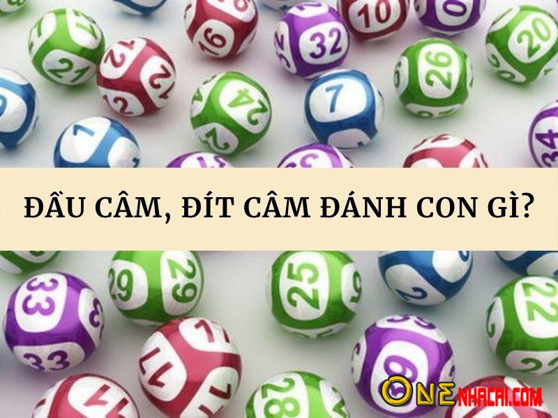 Đánh lô trượt qua đầu câm, đít câm