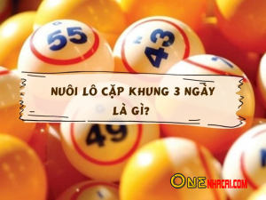 Nuôi lô cặp khung 3 ngày là gì?